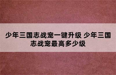 少年三国志战宠一键升级 少年三国志战宠最高多少级